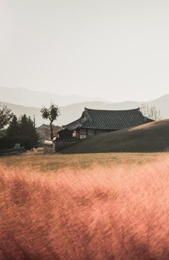 경주