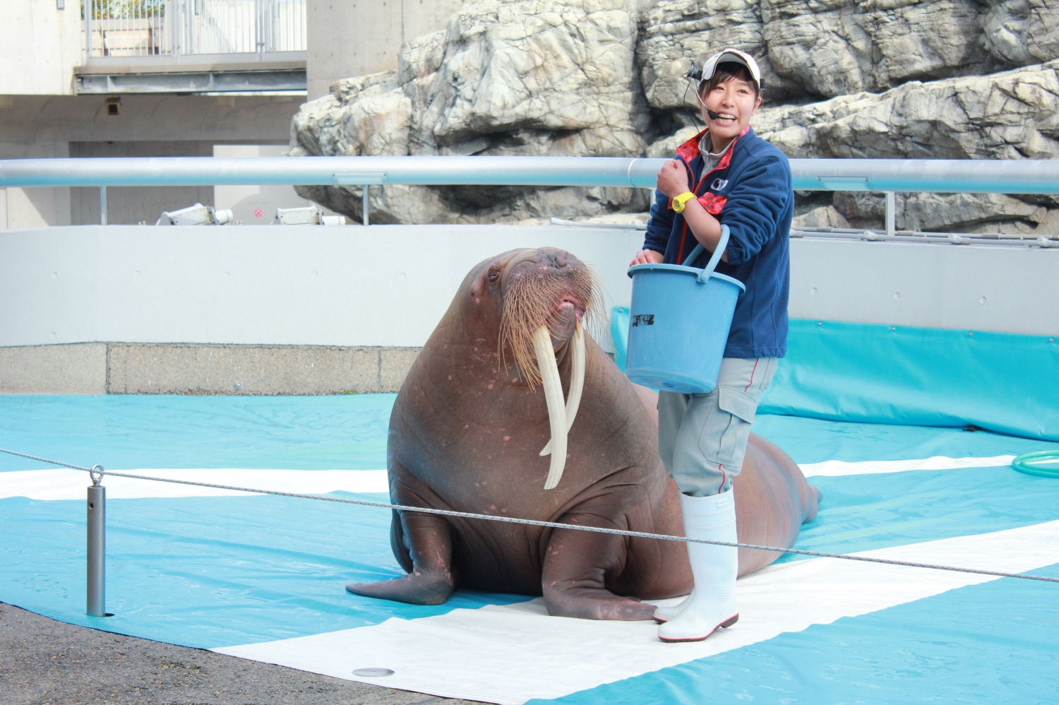 오이타 마린팰리스 우미타마고 아쿠아리움 입장권