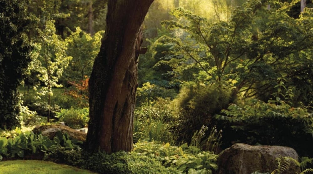 숙박 시설 구내