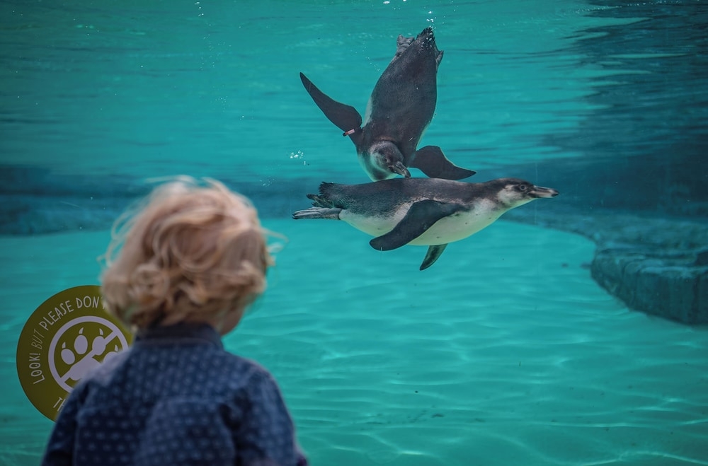 어린이 즐길거리