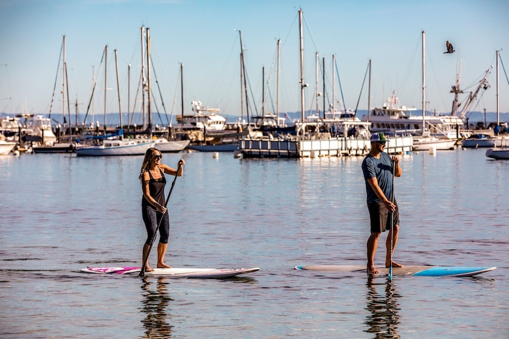 서핑/부기 보드