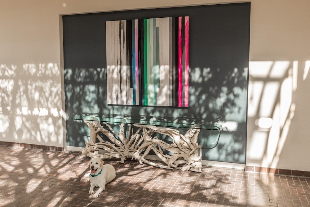 반려동물 동반 가능