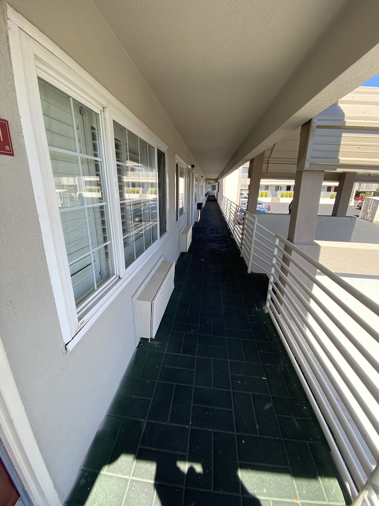 외부 세부 사진