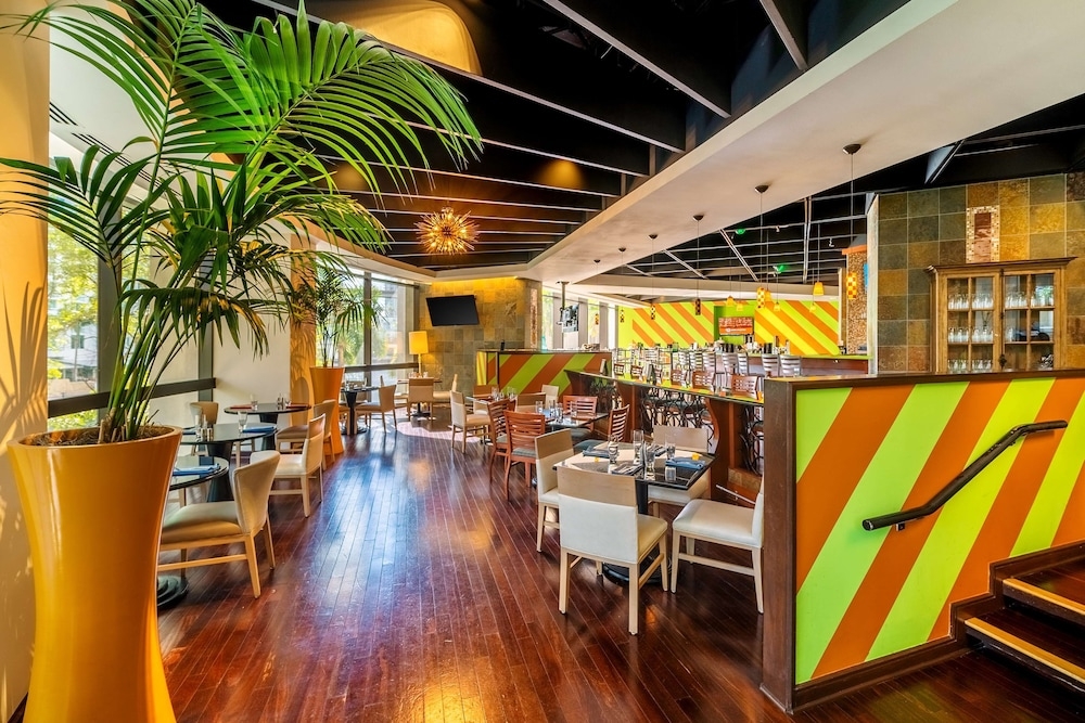 바(숙박 시설 내)