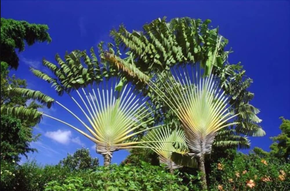 숙박 시설 구내