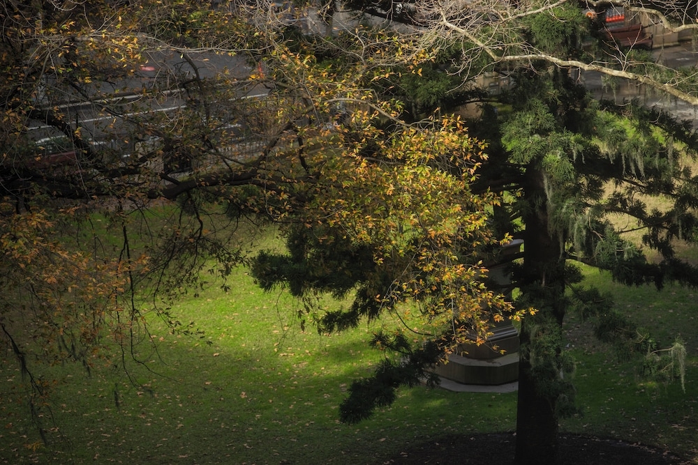 숙박 시설의 전망