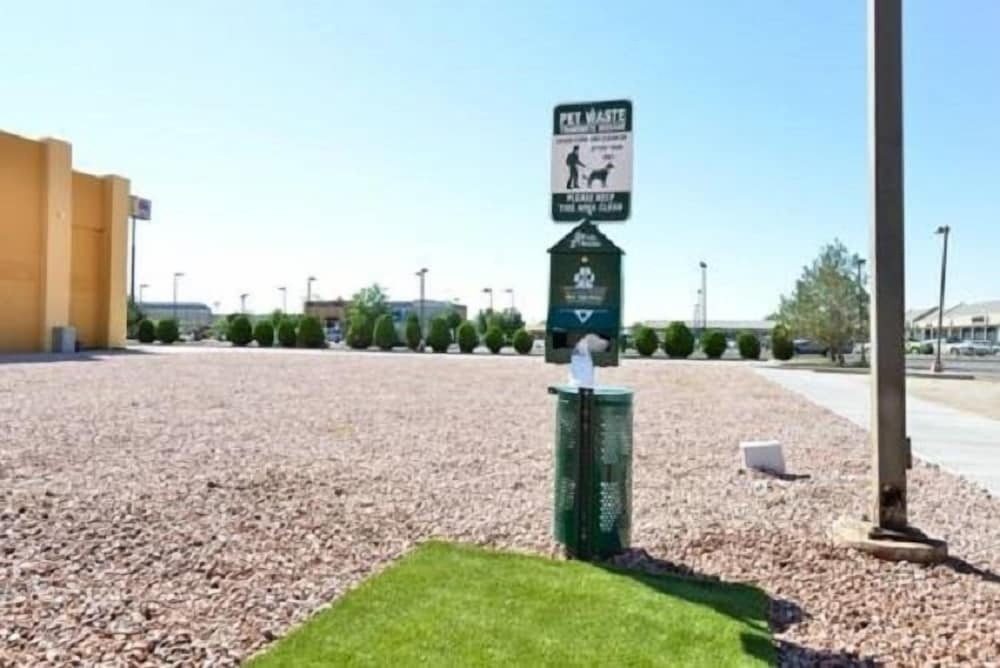 반려동물 동반 가능