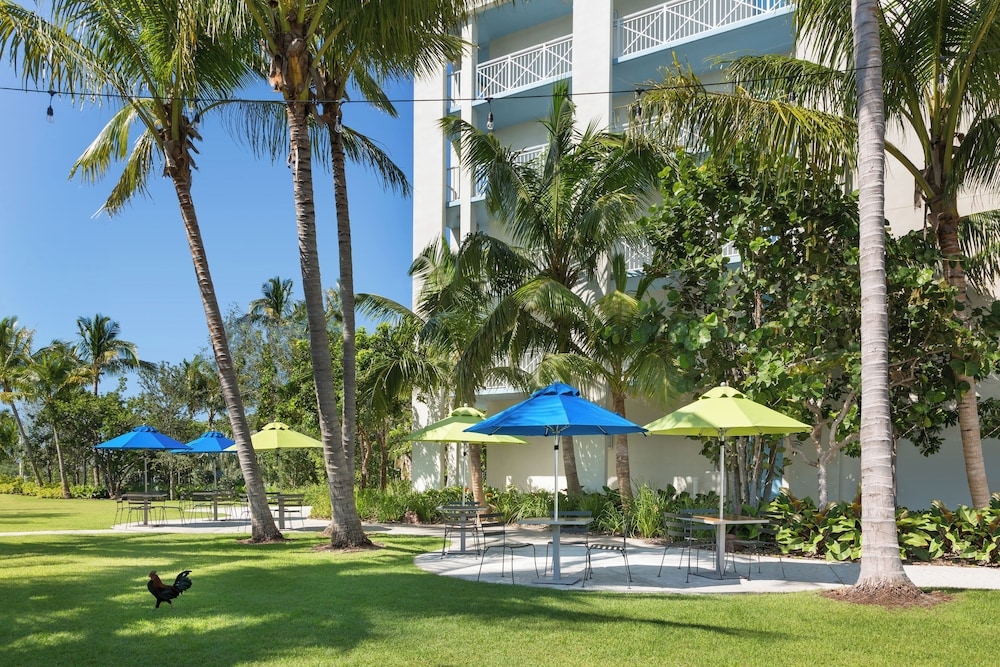 BBQ/피크닉 공간