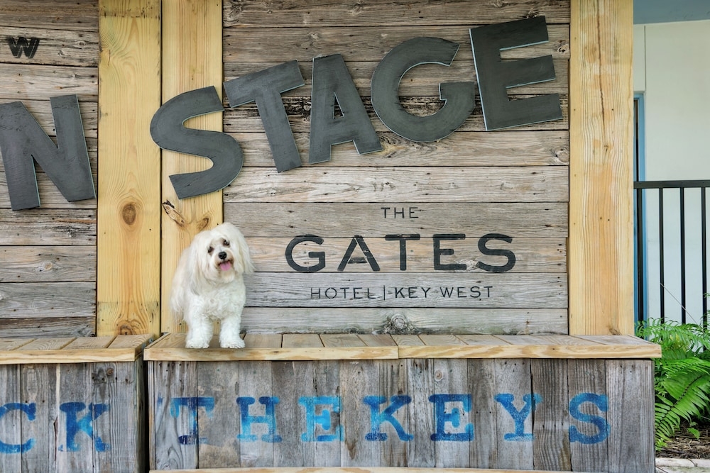 반려동물 동반 가능