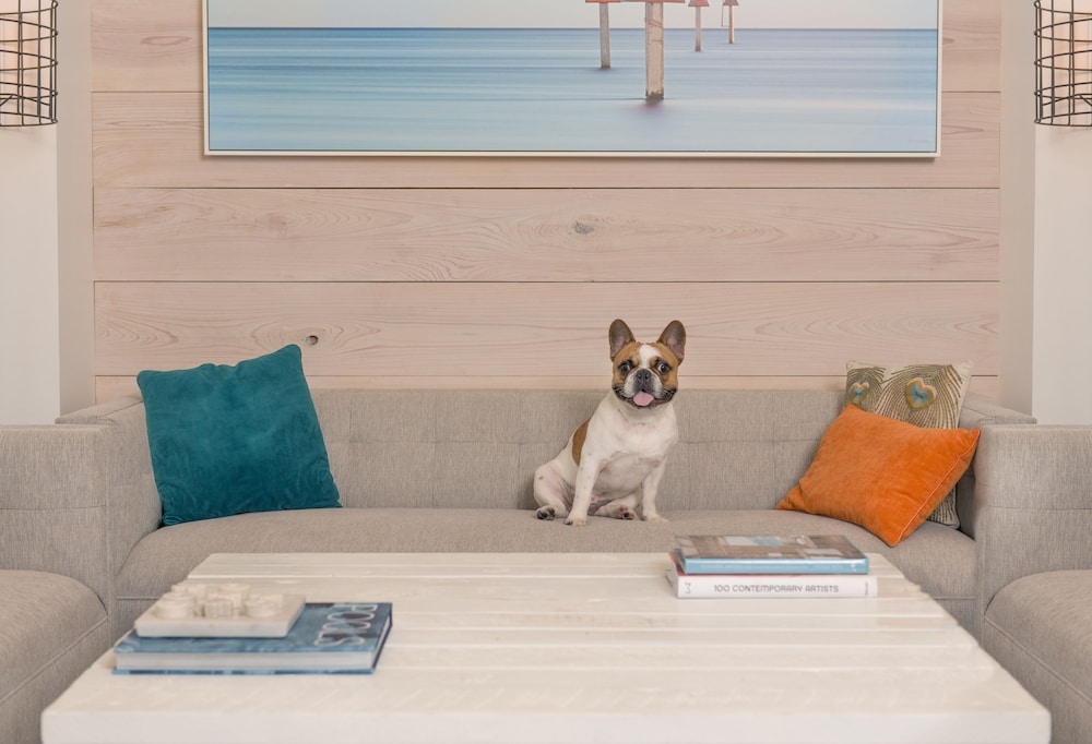 반려동물 동반 가능