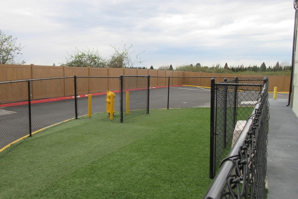 숙박 시설 내 편의 시설/서비스