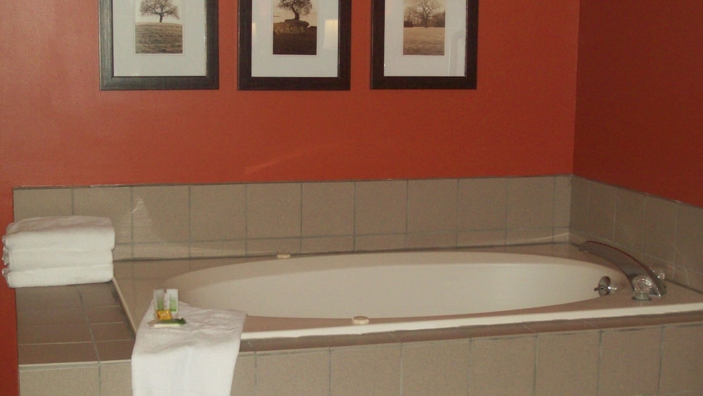 전용 스파 욕조