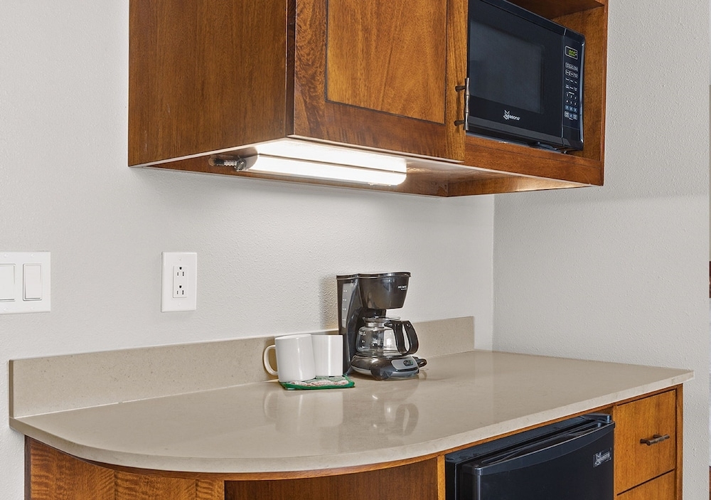 커피 및/또는 커피 메이커