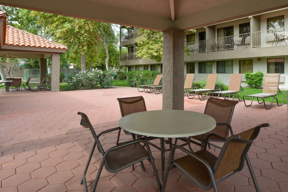 BBQ/피크닉 공간