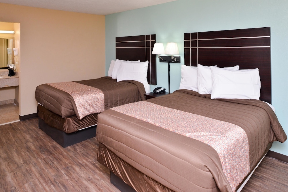 커피 및/또는 커피 메이커