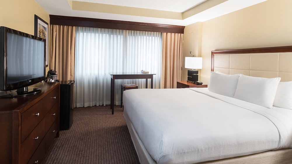 객실에서 보이는 전망