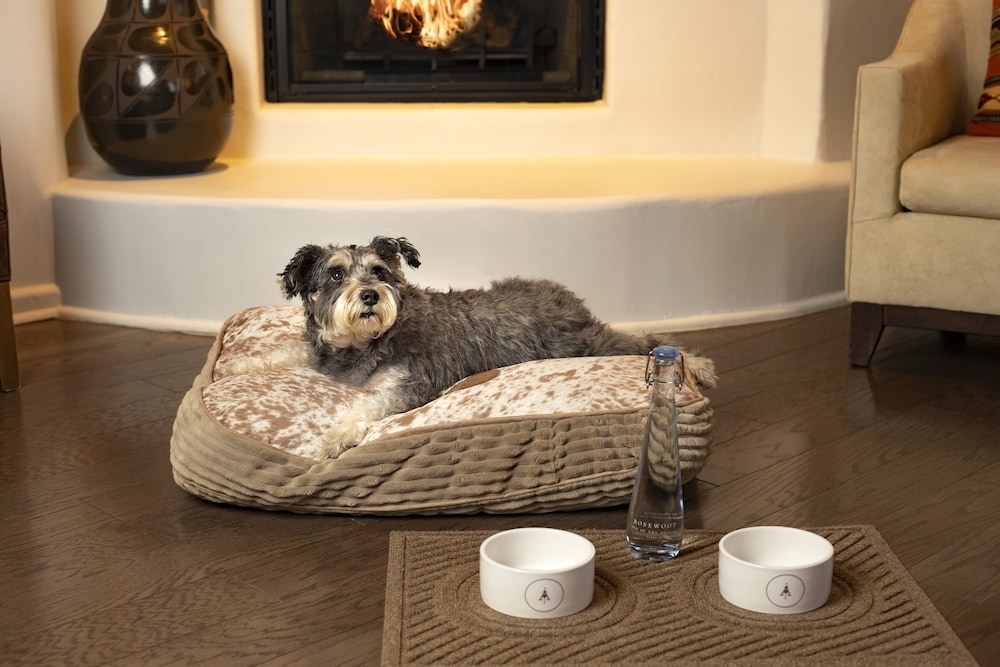 숙박 시설 내 편의 시설/서비스