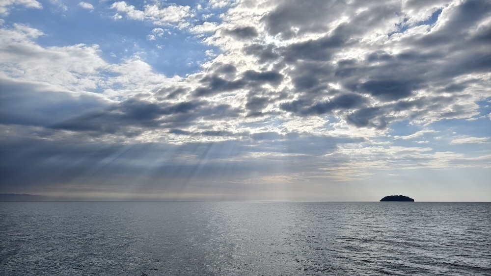 객실에서 보이는 전망