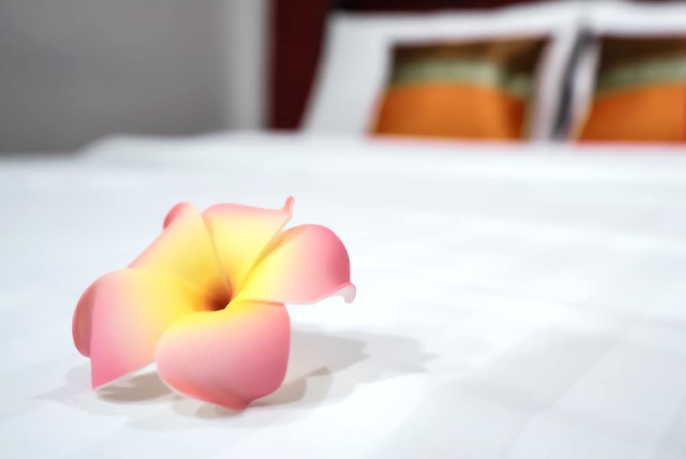 객실 내 편의 시설/서비스