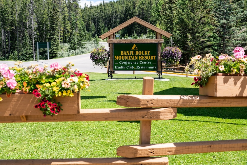 외부 세부 사진