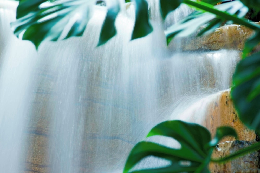 숙박 시설 내 편의 시설/서비스