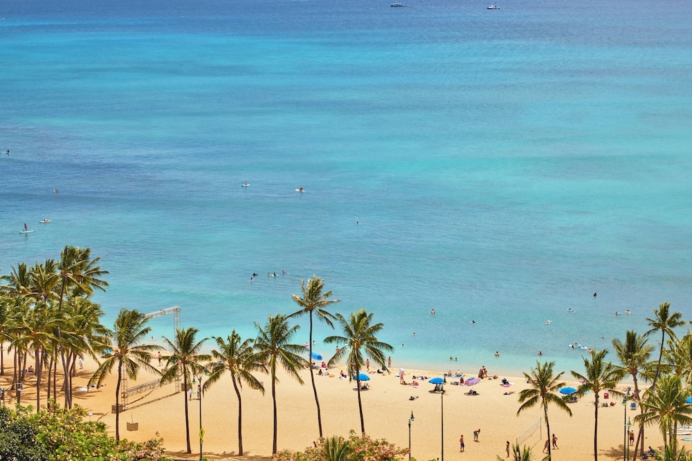 해변/바다 전망