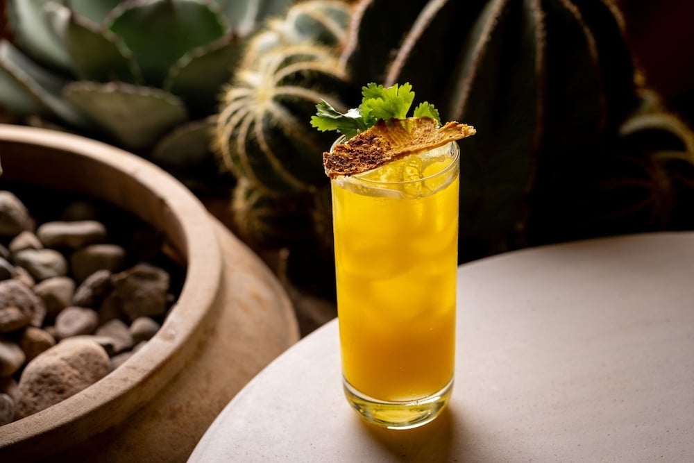 바(숙박 시설 내)