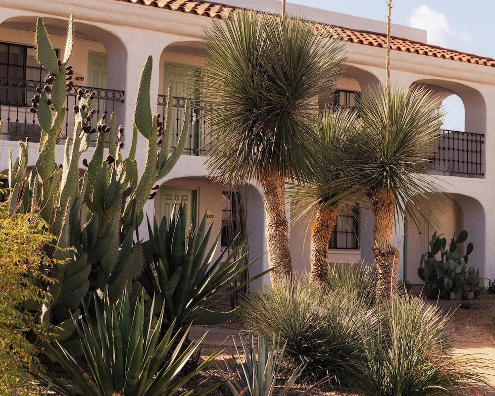 객실에서 보이는 전망