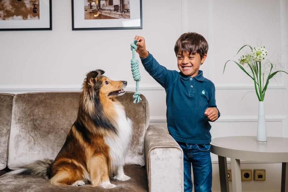 반려동물 동반 가능