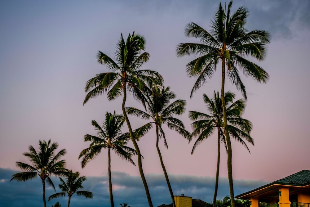 숙박 시설의 전망