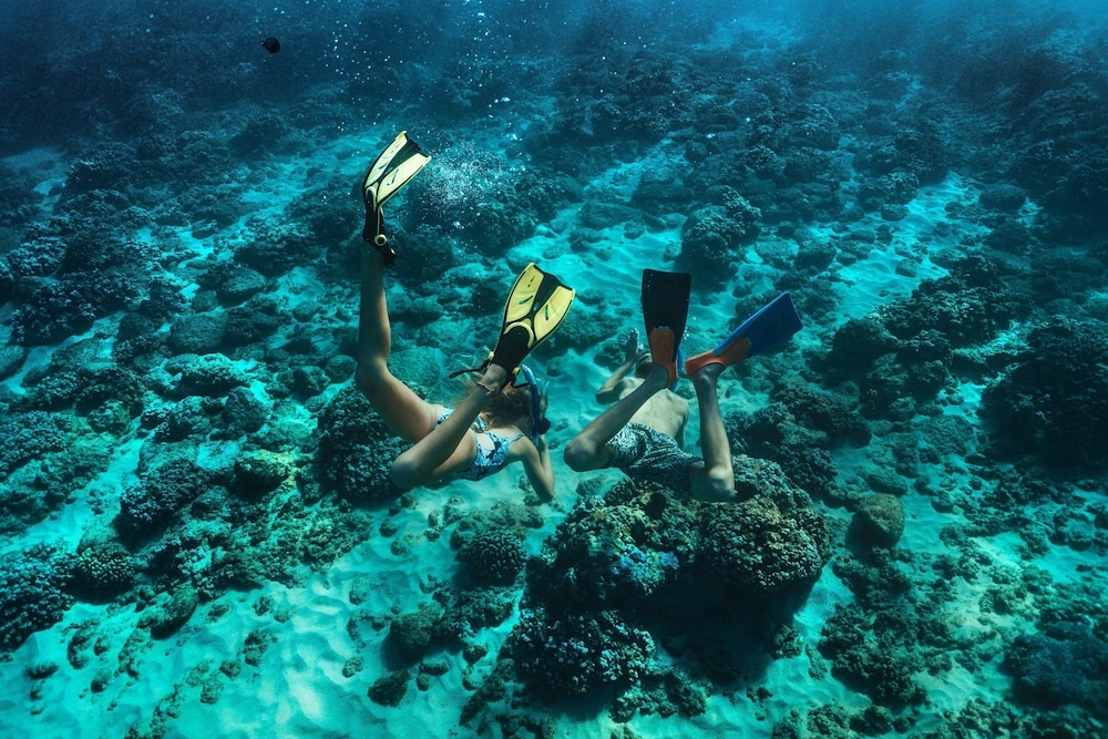숙박 시설 내 편의 시설/서비스