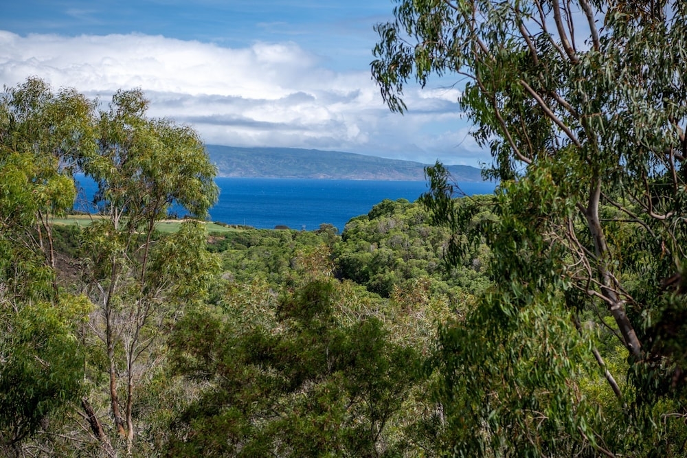 숙박 시설 내 편의 시설/서비스