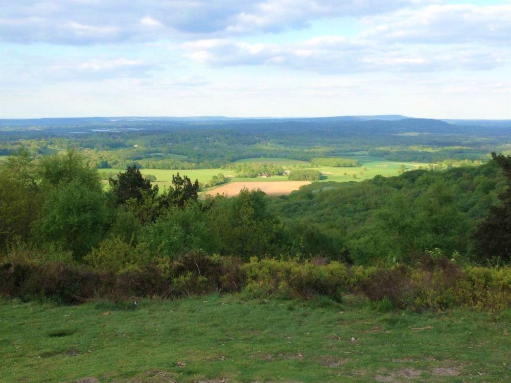 BBQ/피크닉 공간