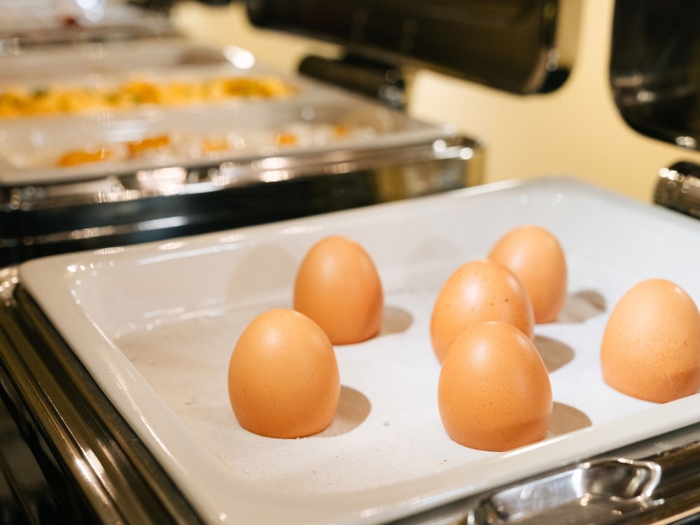 뷔페 아침 식사