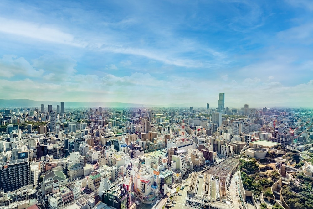 객실에서 보이는 전망