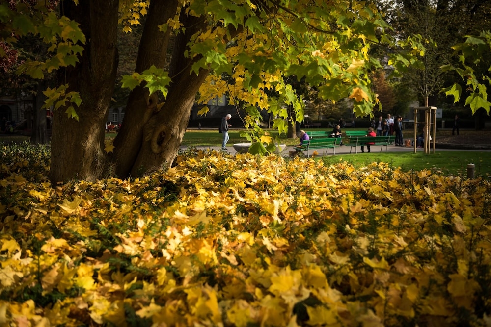 어린이 놀이 공간 - 야외
