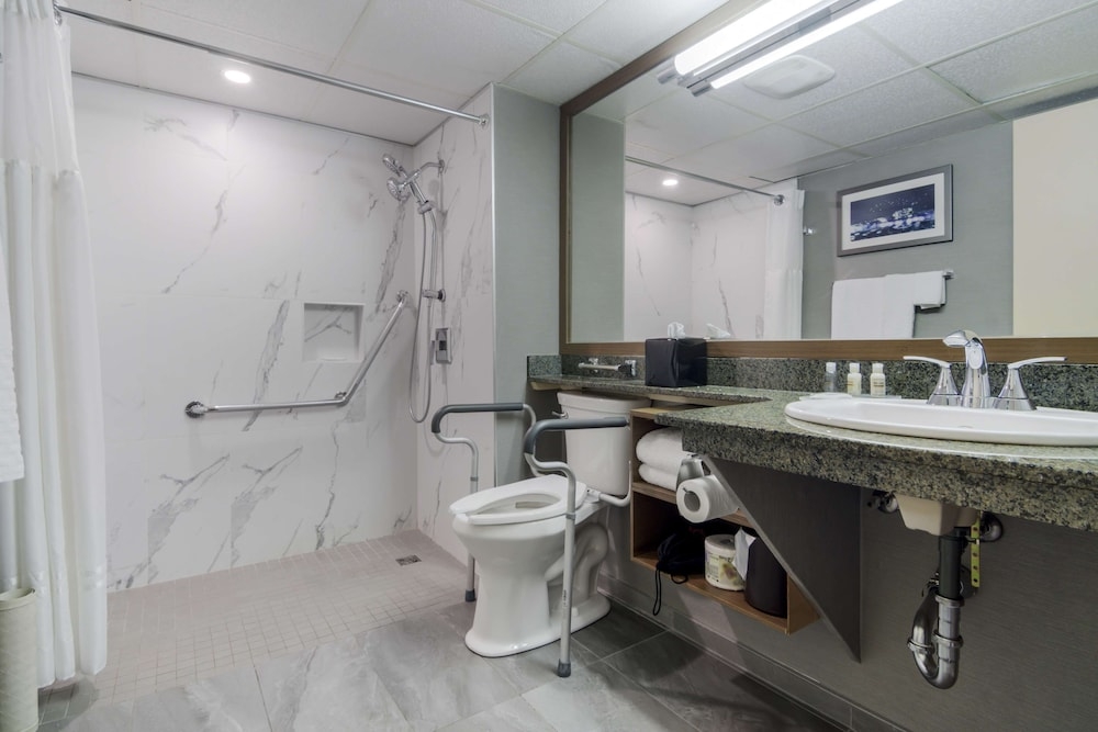 장애인 지원 욕실