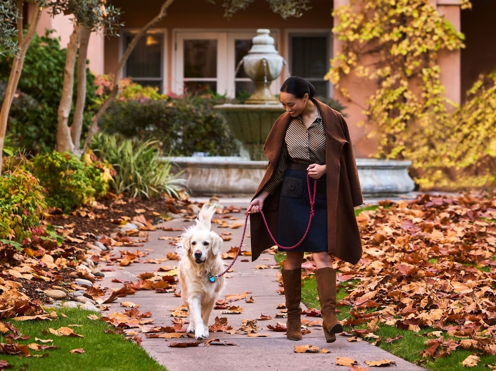 숙박 시설 구내
