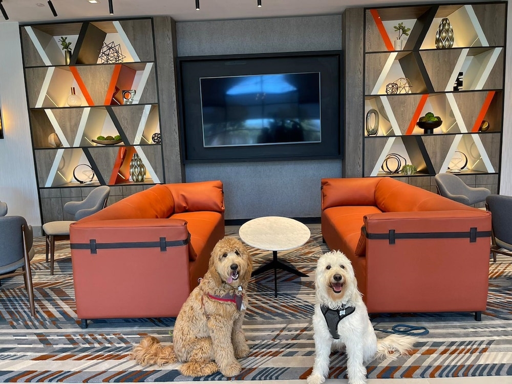 로비 좌석 공간