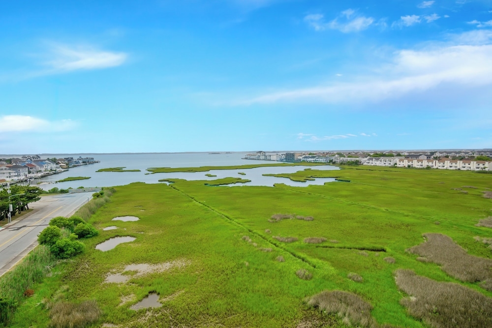 객실에서 보이는 전망