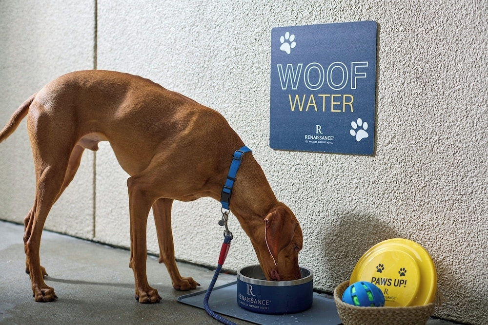 숙박 시설 내 편의 시설/서비스