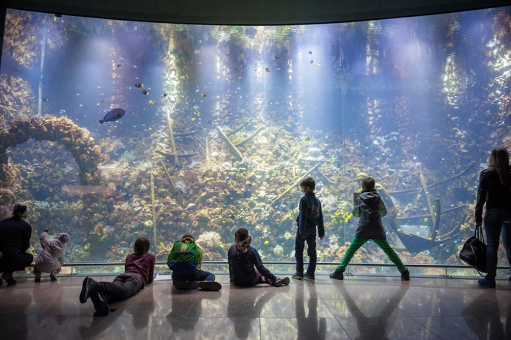 어린이 즐길거리