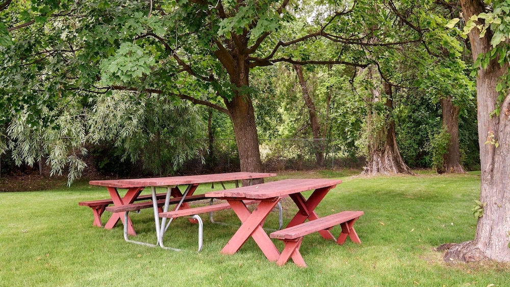 BBQ/피크닉 공간