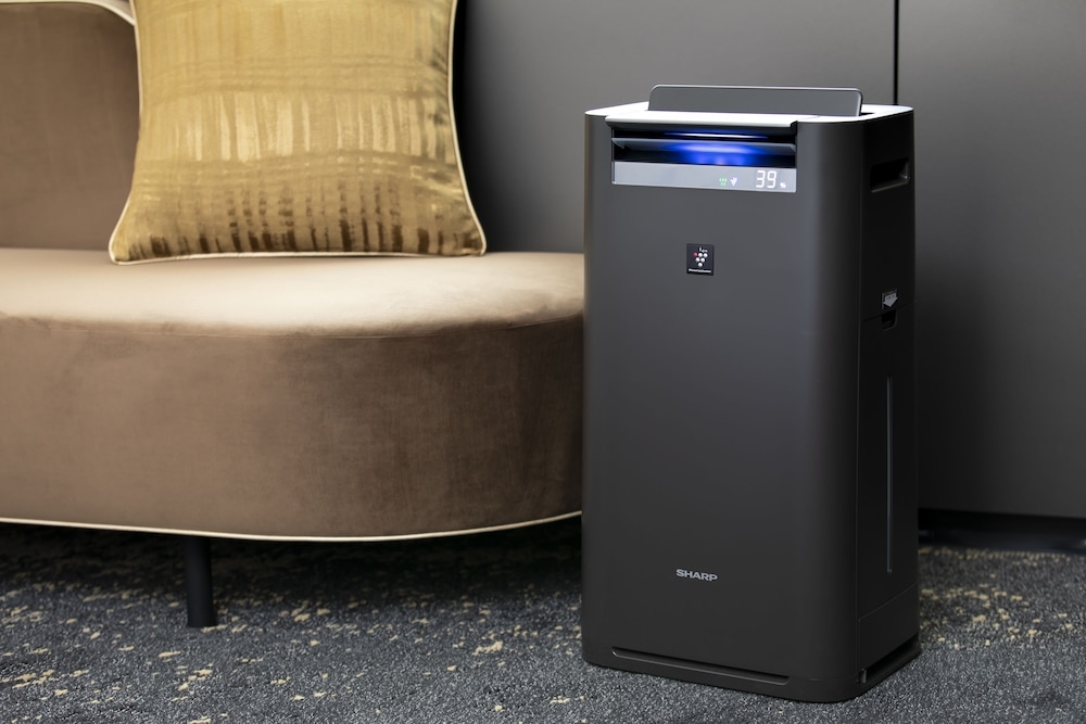 객실 내 편의 시설/서비스