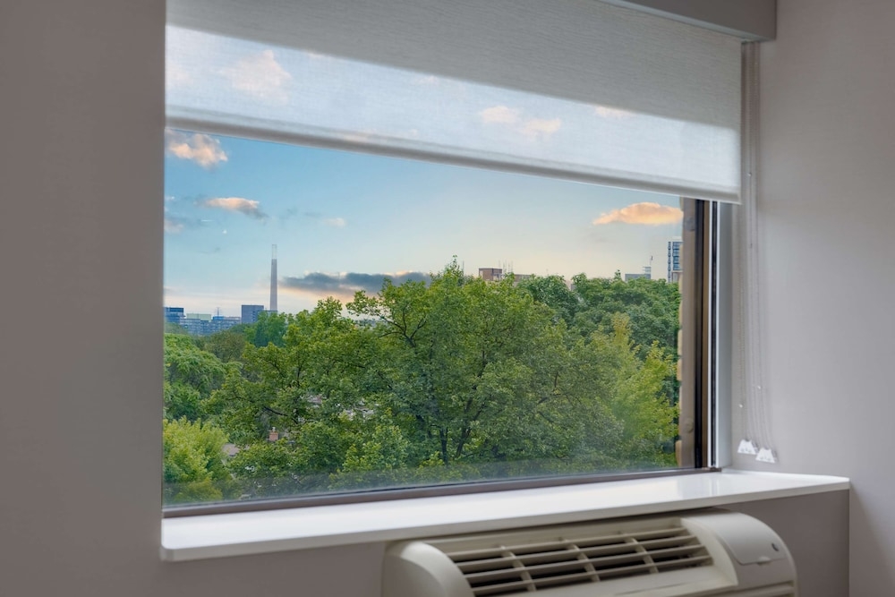 객실에서 보이는 전망