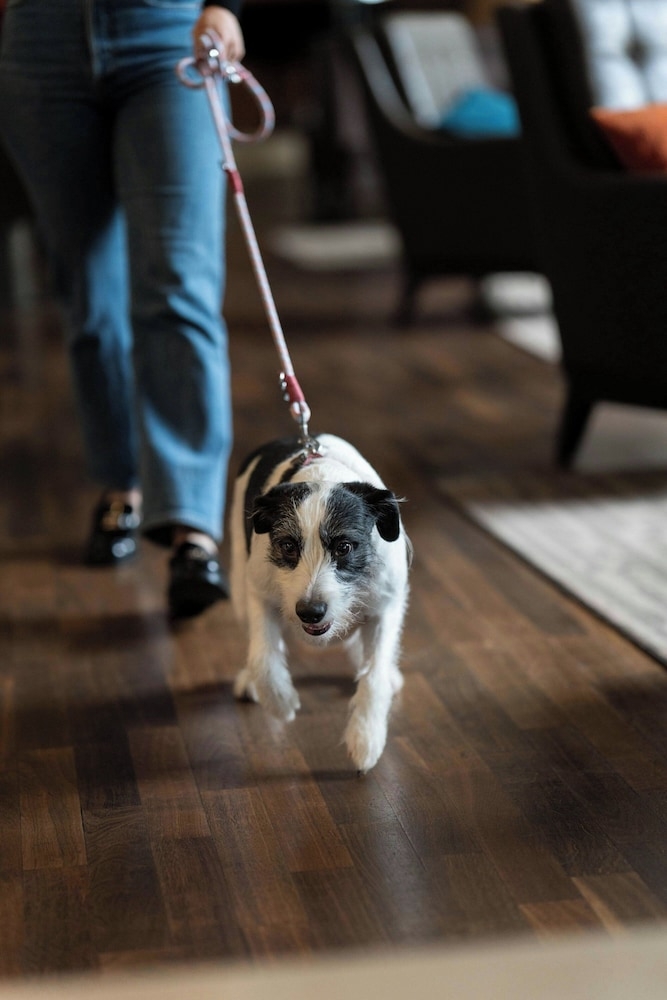 숙박 시설 내 편의 시설/서비스