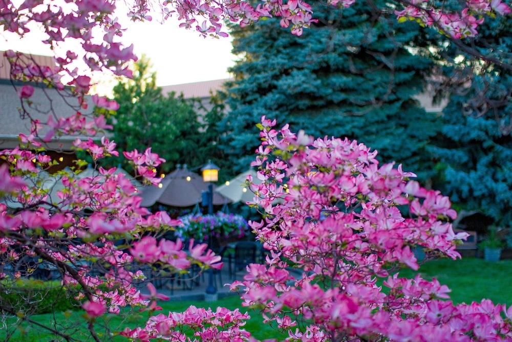 숙박 시설 구내