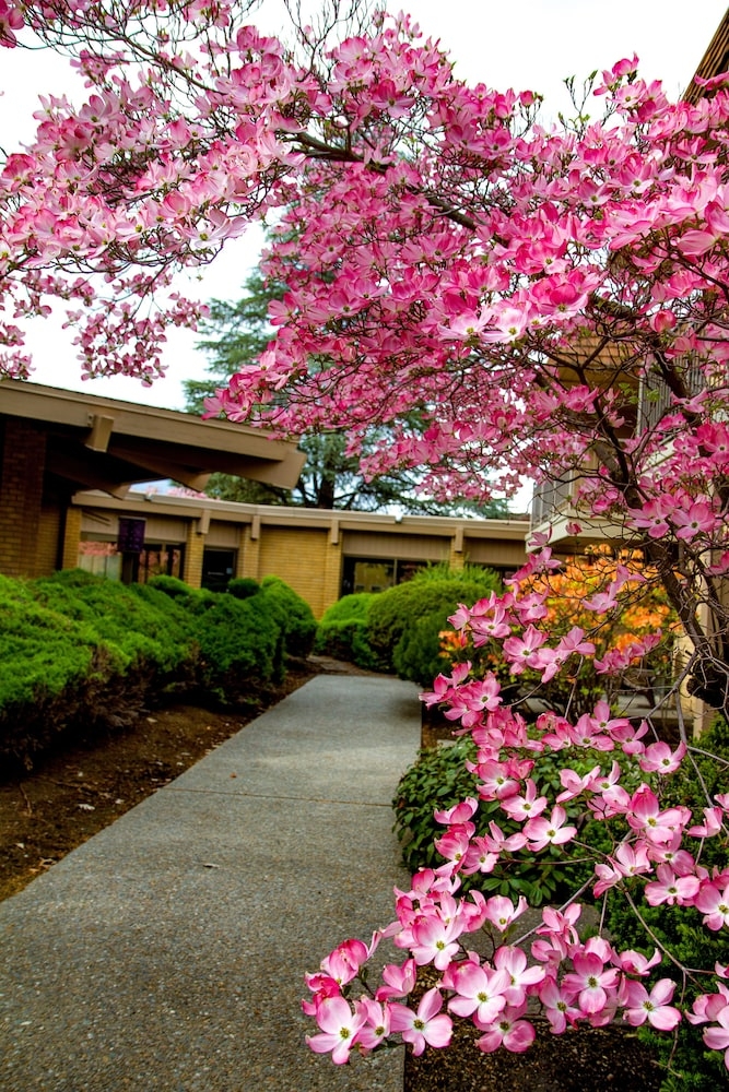 숙박 시설 구내