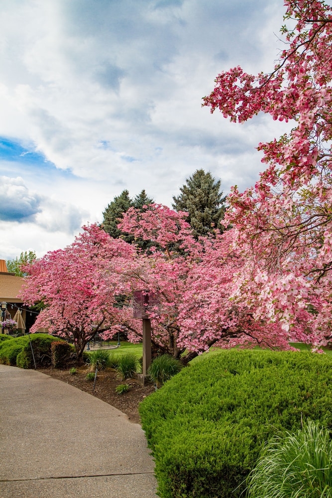 숙박 시설 구내