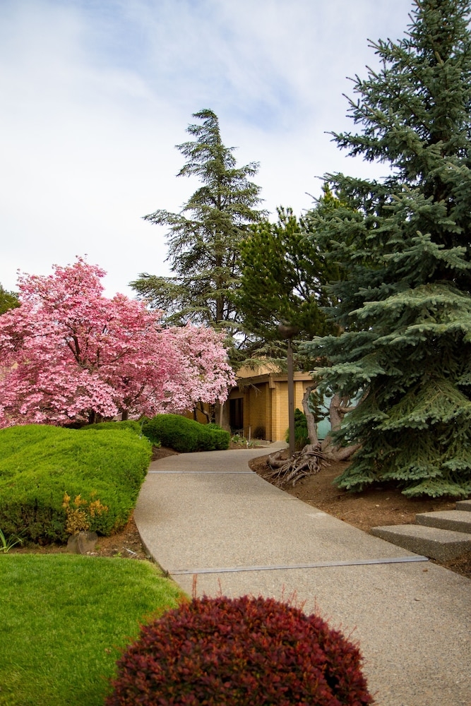 숙박 시설 구내